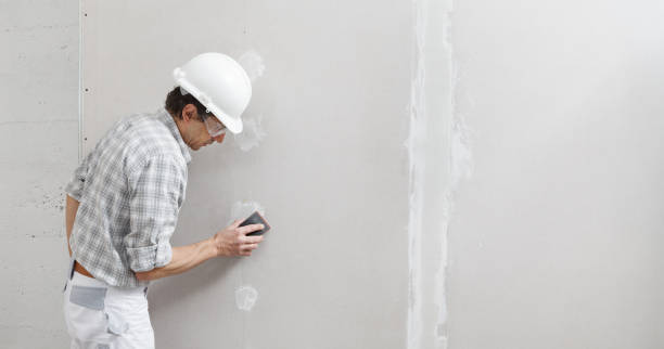 Berryville, TX Mold Removal Company
